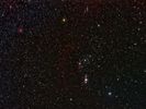 Orion
