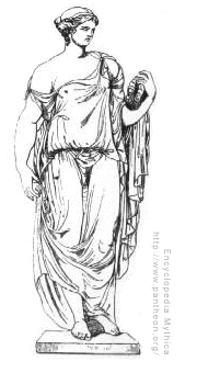 Flora