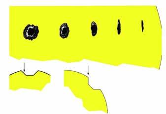 Wilsonův jev Wilsonův jev