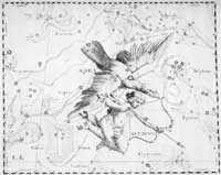 Uranographia