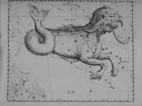 Uranographia