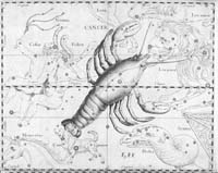 Souhvězdí podle Hevelia Uranographia