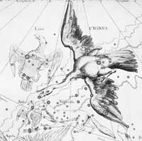 Souhvězdí podle Hevelia Uranographia