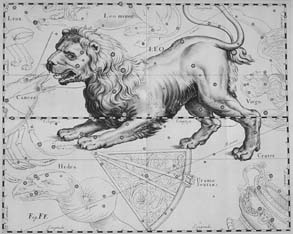 Souhvězdí podle Hevelia Uranographia