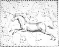 Souhvězdí podle Hevelia Uranographia