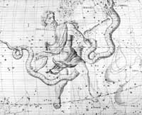 Uranographia