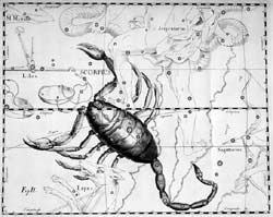 Souhvězdí podle Hevelia Uranographia