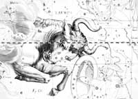 Souhvězdí podle Hevelia Uranographia