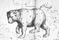 Souhvězdí podle Hevelia Uranographia