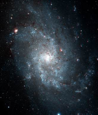 M33