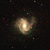 M61