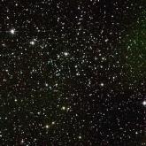 M38 M38