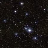 M41 M41