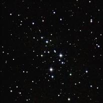 M48 M48