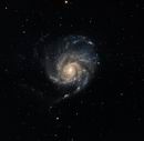M101