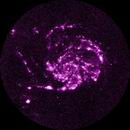 M101