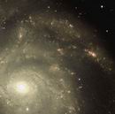 M101