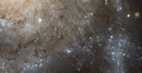M101