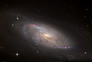 M106