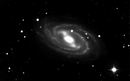 M109