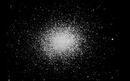 M13
