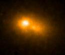 M31