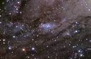 M31