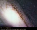 M31