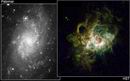 M33