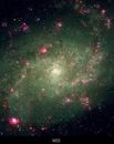 M33
