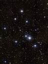 M41