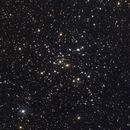 M41