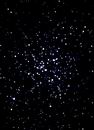 M41