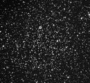 M46