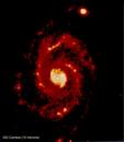 M51