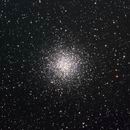 M55
