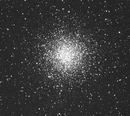 M55