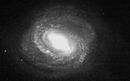 M58