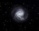 M61