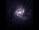 M61