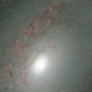 M64