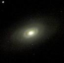 M64