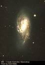 M66