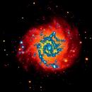 M74