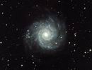 M74