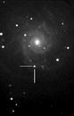 M74