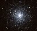 M79