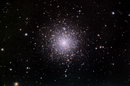 M79