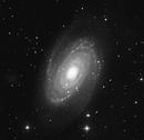 M81
