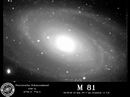 M81